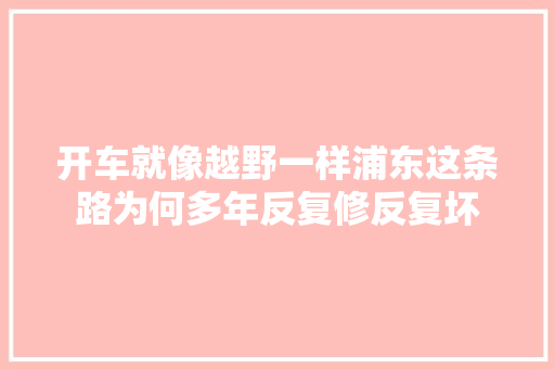 开车就像越野一样浦东这条路为何多年反复修反复坏