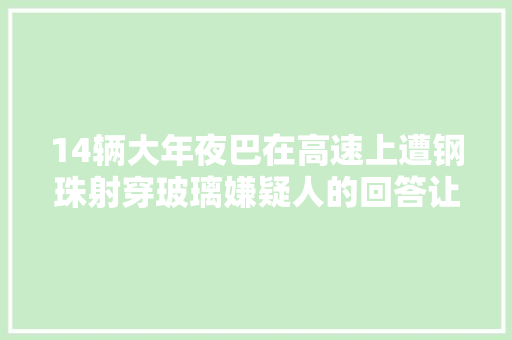 14辆大年夜巴在高速上遭钢珠射穿玻璃嫌疑人的回答让人朝气