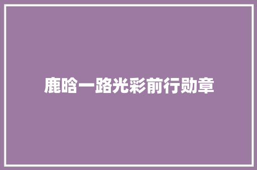 鹿晗一路光彩前行勋章