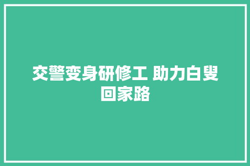 交警变身研修工 助力白叟回家路