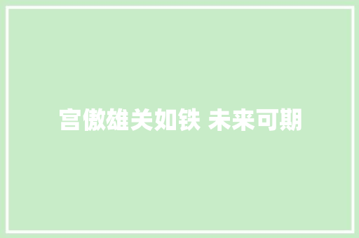 宫傲雄关如铁 未来可期