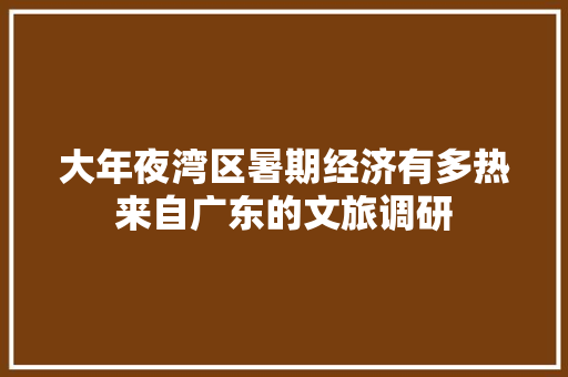 大年夜湾区暑期经济有多热来自广东的文旅调研