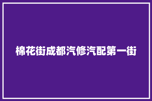 棉花街成都汽修汽配第一街