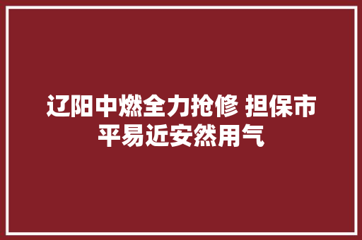 辽阳中燃全力抢修 担保市平易近安然用气