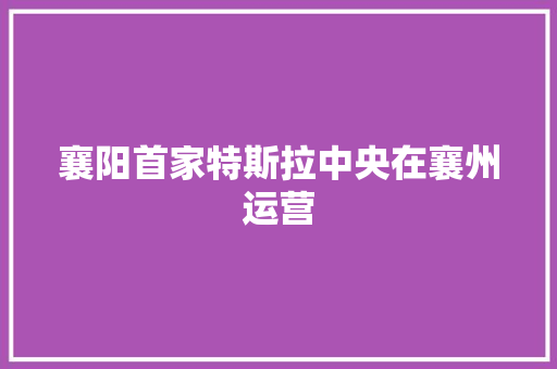 襄阳首家特斯拉中央在襄州运营