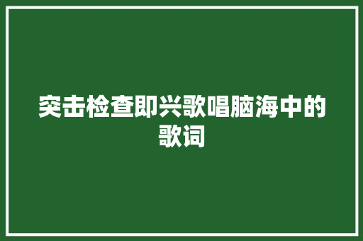 突击检查即兴歌唱脑海中的歌词
