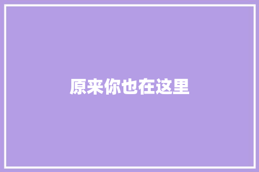 原来你也在这里