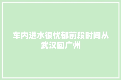 车内进水很忧郁前段时间从武汉回广州