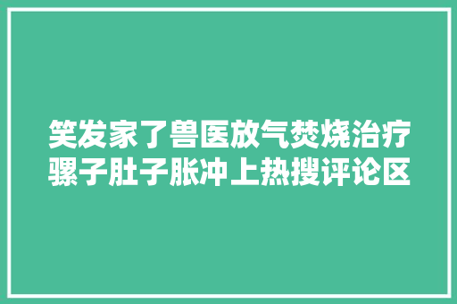 笑发家了兽医放气焚烧治疗骡子肚子胀冲上热搜评论区太好笑了