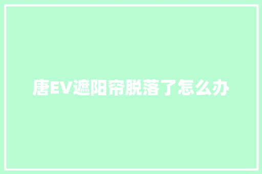 唐EV遮阳帘脱落了怎么办