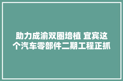 助力成渝双圈培植 宜宾这个汽车零部件二期工程正抓紧推进