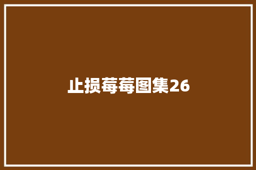 止损莓莓图集26