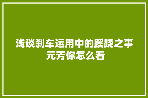 浅谈刹车运用中的蹊跷之事 元芳你怎么看