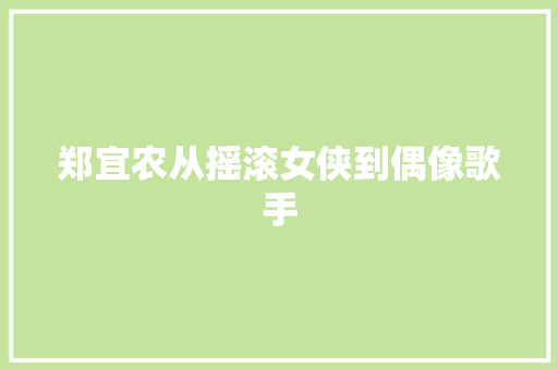 郑宜农从摇滚女侠到偶像歌手
