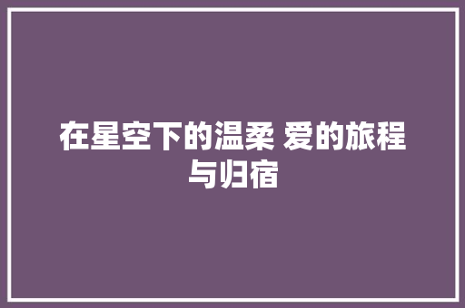 在星空下的温柔 爱的旅程与归宿