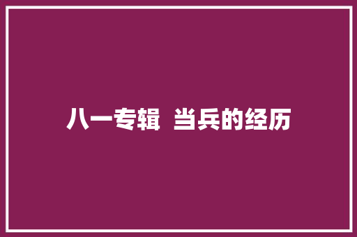 八一专辑  当兵的经历