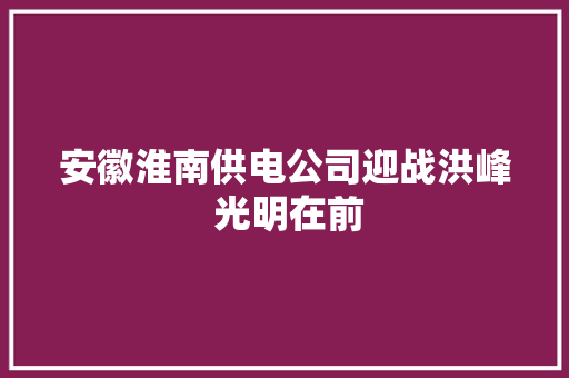 安徽淮南供电公司迎战洪峰 光明在前