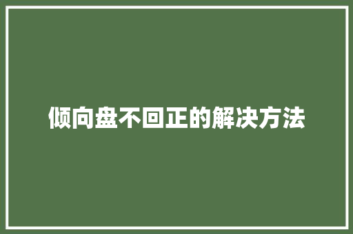 倾向盘不回正的解决方法