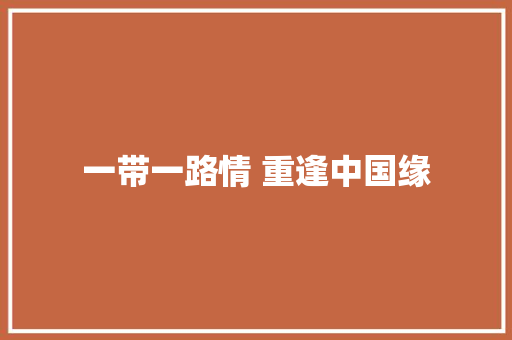 一带一路情 重逢中国缘
