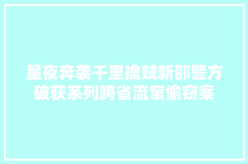 星夜奔袭千里擒贼新邵警方破获系列跨省流窜偷窃案