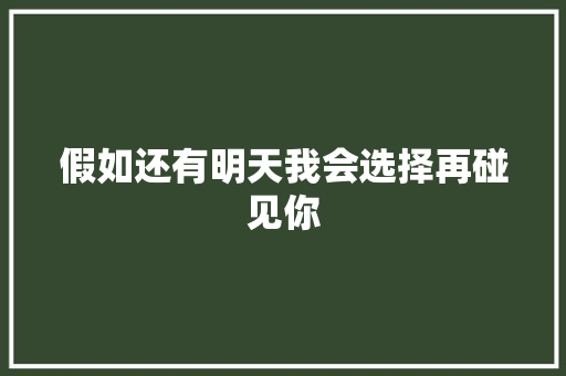 假如还有明天我会选择再碰见你