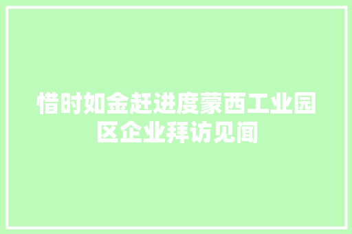 惜时如金赶进度蒙西工业园区企业拜访见闻
