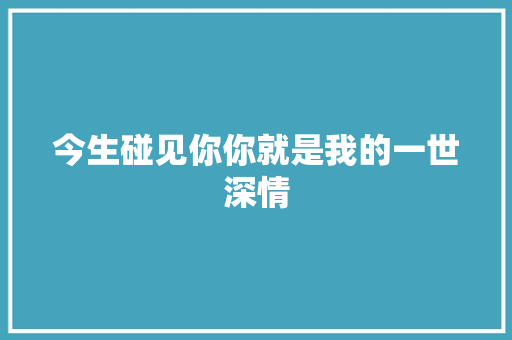 今生碰见你你就是我的一世深情