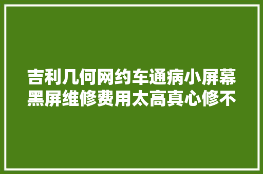吉利几何网约车通病小屏幕黑屏维修费用太高真心修不起
