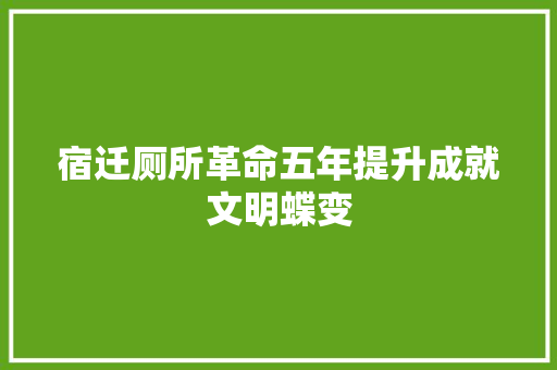 宿迁厕所革命五年提升成就文明蝶变