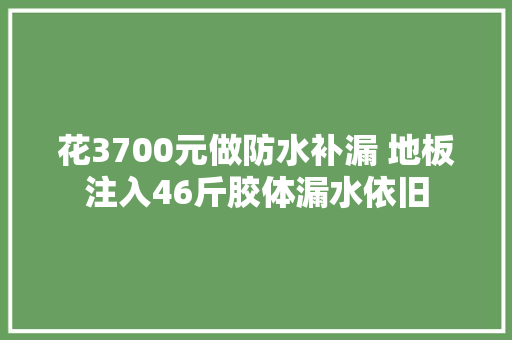 花3700元做防水补漏 地板注入46斤胶体漏水依旧