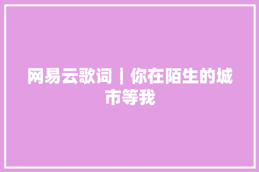 网易云歌词｜你在陌生的城市等我