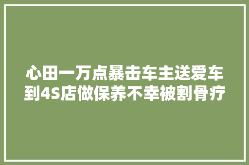 心田一万点暴击车主送爱车到4S店做保养不幸被割骨疗伤