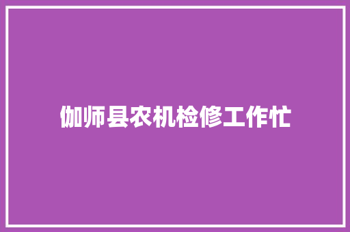 伽师县农机检修工作忙
