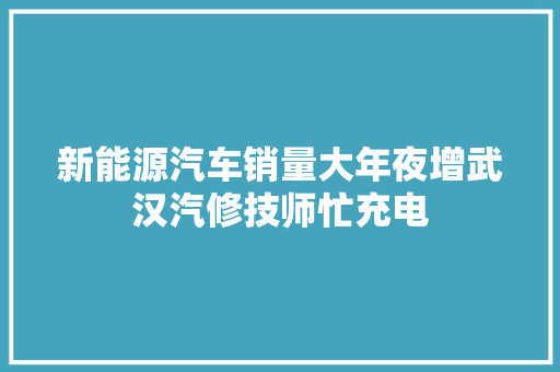 新能源汽车销量大年夜增武汉汽修技师忙充电