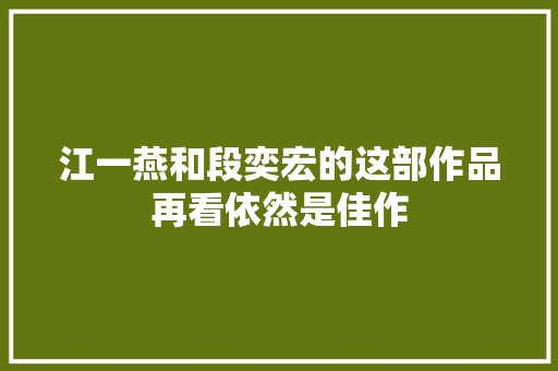 江一燕和段奕宏的这部作品再看依然是佳作