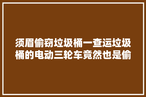 须眉偷窃垃圾桶一查运垃圾桶的电动三轮车竟然也是偷的
