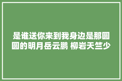 是谁送你来到我身边是那圆圆的明月岳云鹏 柳岩天竺少女