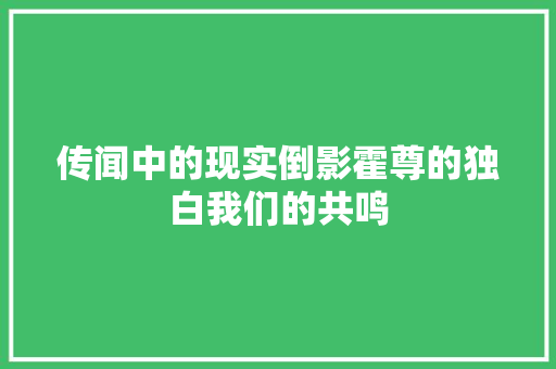 传闻中的现实倒影霍尊的独白我们的共鸣