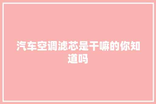 汽车空调滤芯是干嘛的你知道吗