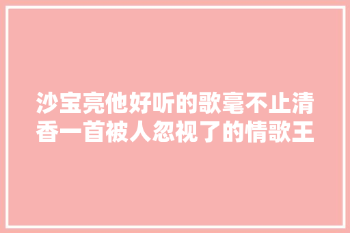 沙宝亮他好听的歌毫不止清香一首被人忽视了的情歌王子