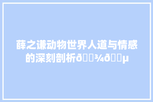 薛之谦动物世界人道与情感的深刻剖析🐾🎵