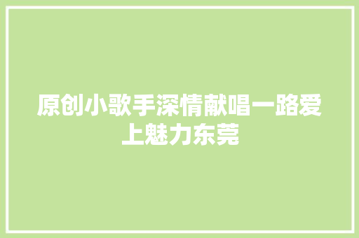原创小歌手深情献唱一路爱上魅力东莞