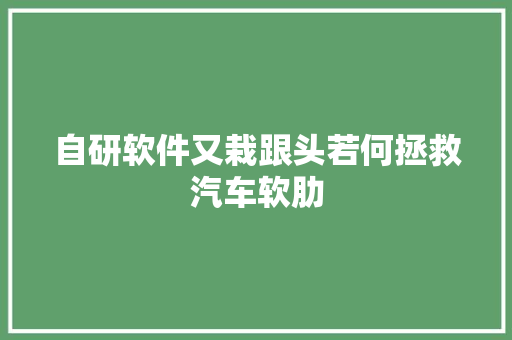 自研软件又栽跟头若何拯救汽车软肋