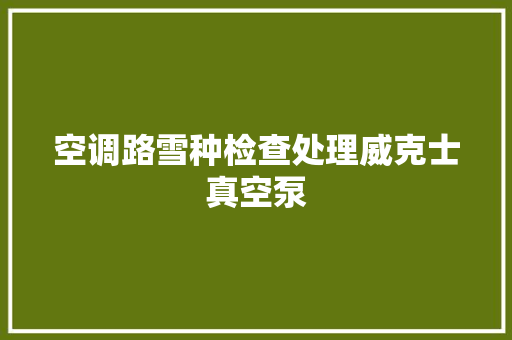 空调路雪种检查处理威克士真空泵