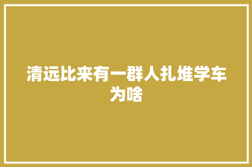 清远比来有一群人扎堆学车为啥