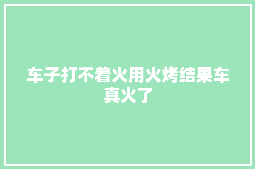 车子打不着火用火烤结果车真火了
