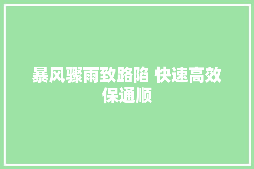 暴风骤雨致路陷 快速高效保通顺