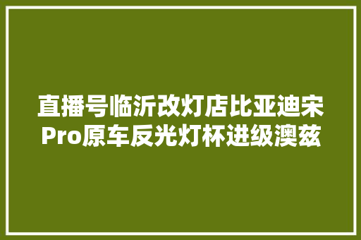 直播号临沂改灯店比亚迪宋Pro原车反光灯杯进级澳兹姆