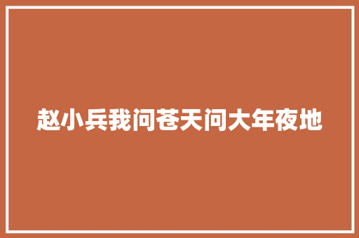 赵小兵我问苍天问大年夜地