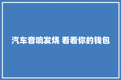 汽车音响发烧 看看你的钱包
